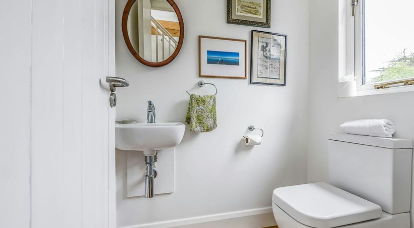 Photo of The Vegetable Garden