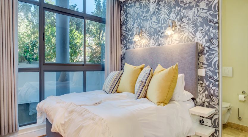 Photo of Makalani Palm