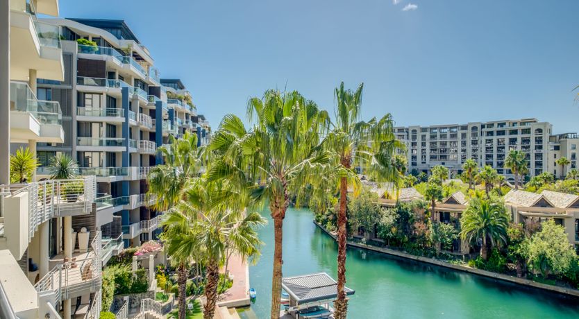 Photo of Makalani Palm