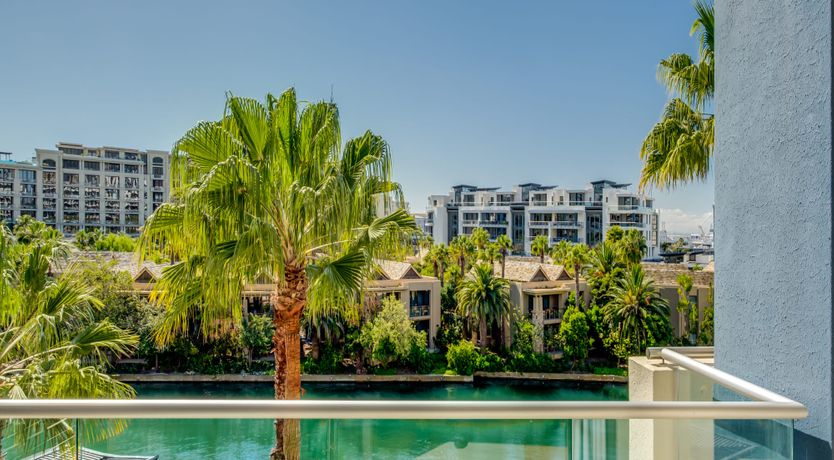 Photo of Makalani Palm