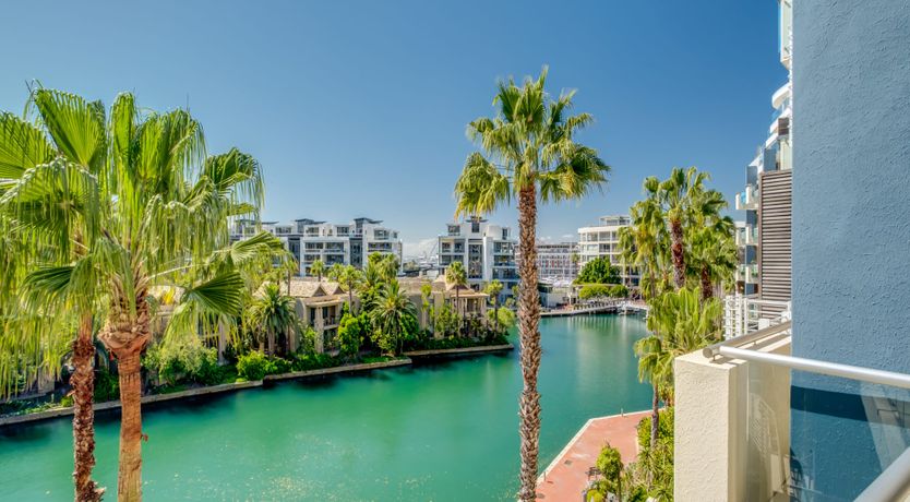 Photo of Makalani Palm