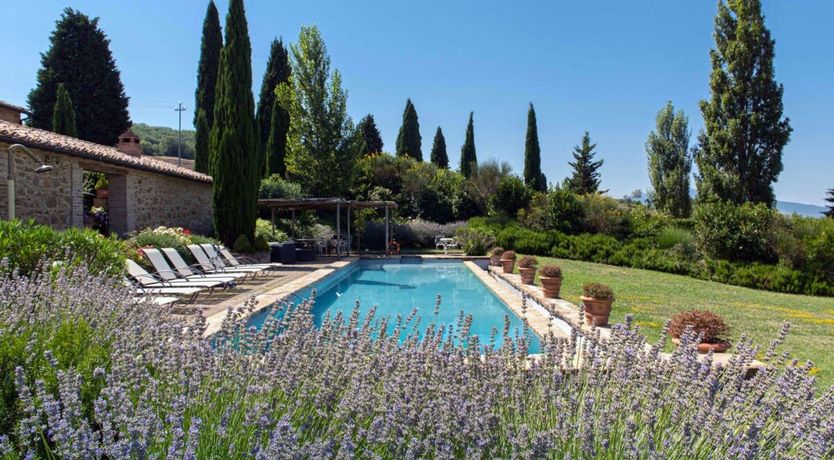 Photo of Cypress Skies