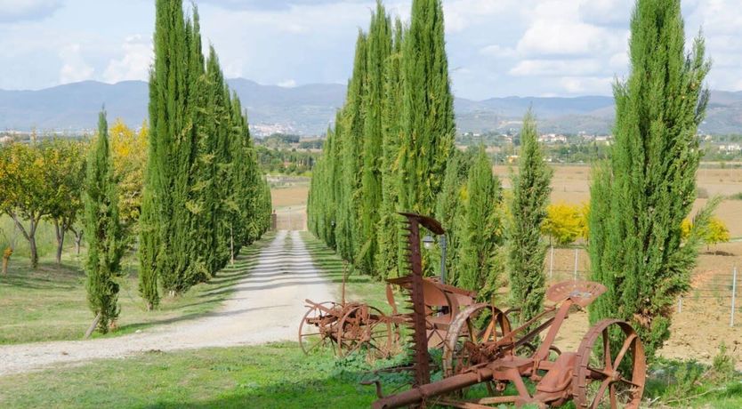 Photo of Etruscan Garden