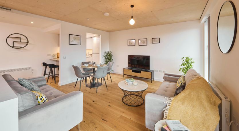 Photo of Northern Light