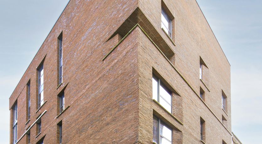 Photo of Northern Light