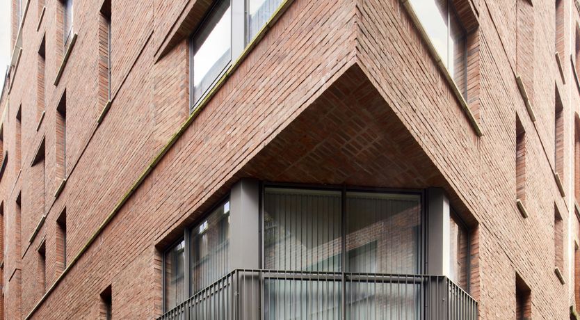 Photo of Northern Light