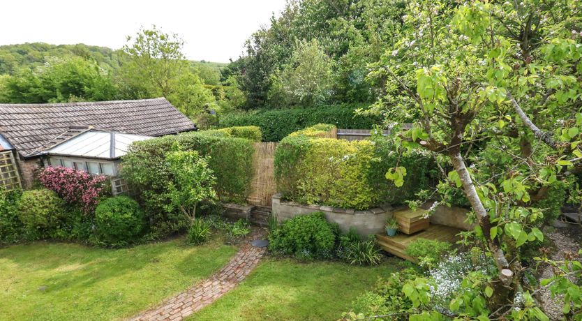 Photo of Dorset Sunshine