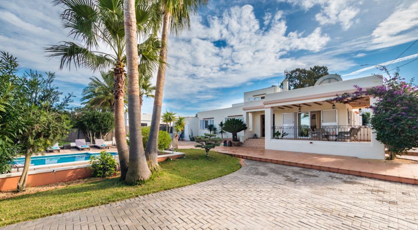 Photo of Bougainvillea Blush