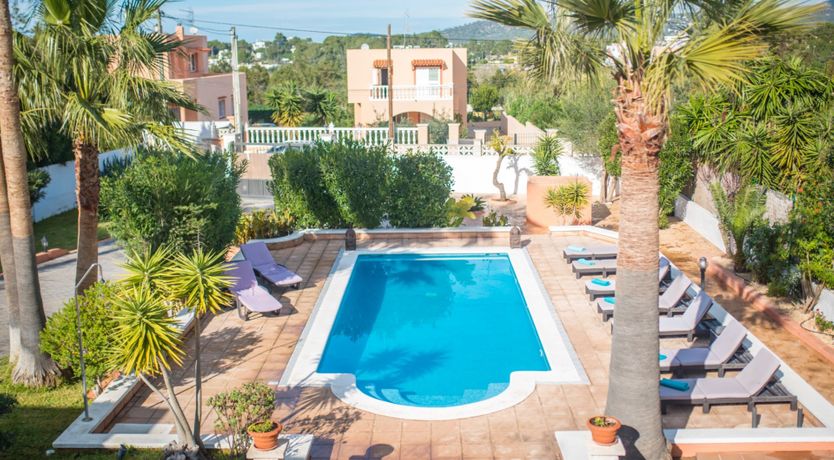 Photo of Bougainvillea Blush