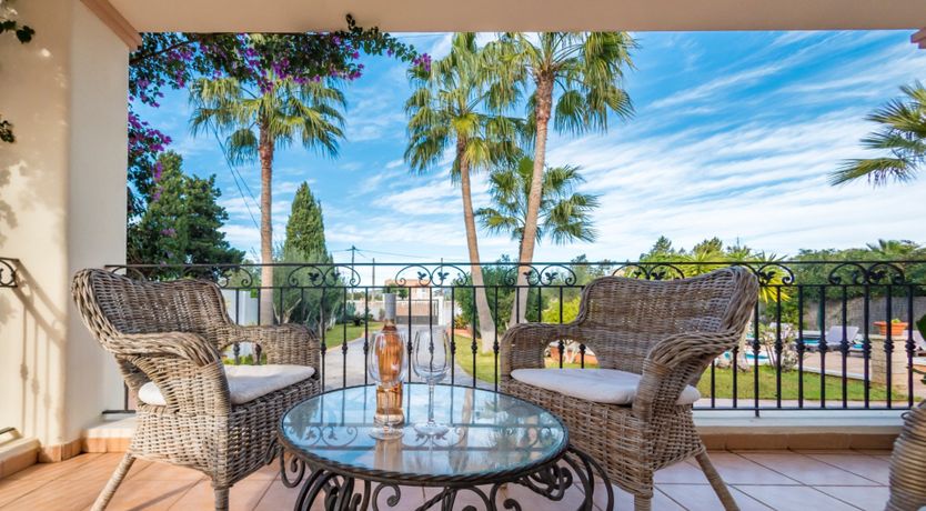 Photo of Bougainvillea Blush