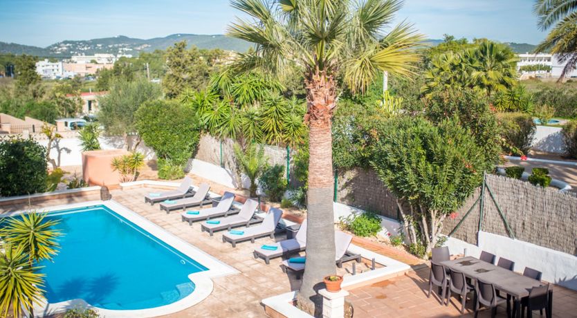 Photo of Bougainvillea Blush