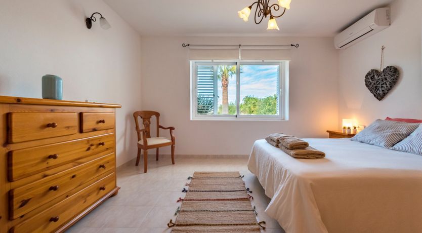 Photo of Bougainvillea Blush