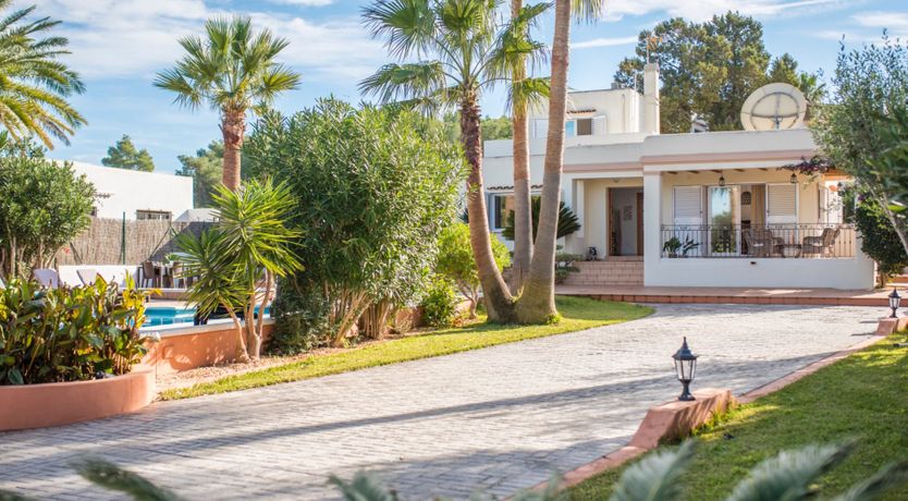 Photo of Bougainvillea Blush