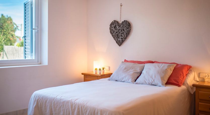 Photo of Bougainvillea Blush