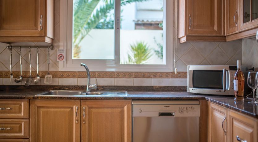 Photo of Bougainvillea Blush