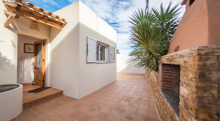 Photo of Bougainvillea Blush