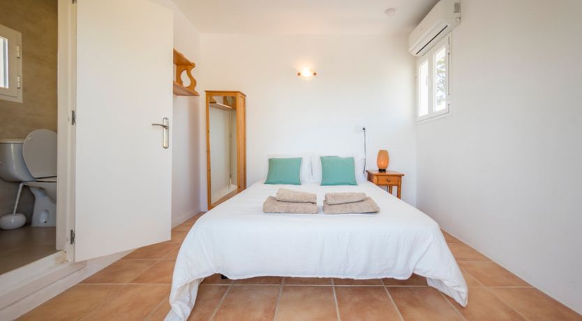 Photo of Bougainvillea Blush