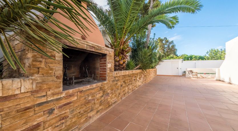 Photo of Bougainvillea Blush