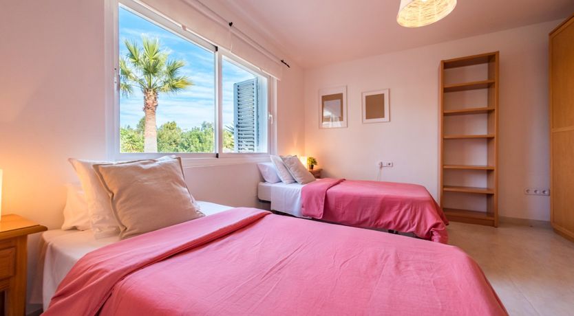 Photo of Bougainvillea Blush