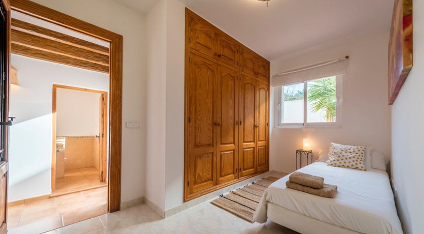 Photo of Bougainvillea Blush