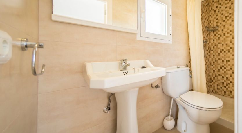 Photo of Bougainvillea Blush