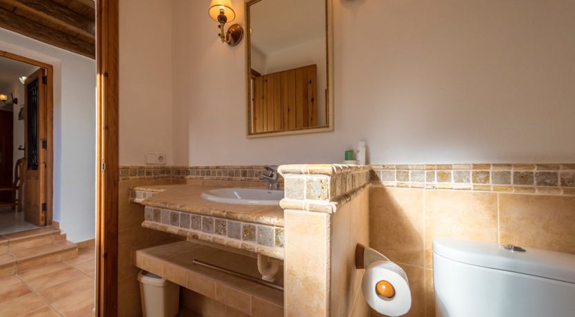 Photo of Bougainvillea Blush