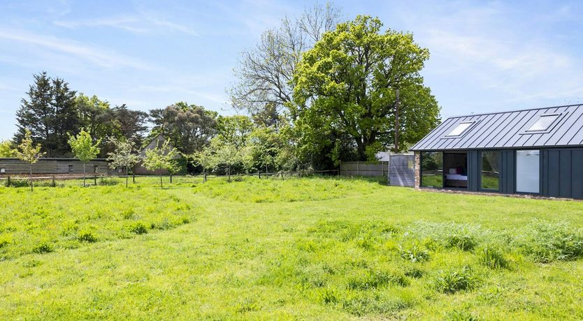 Photo of Flowers of Love