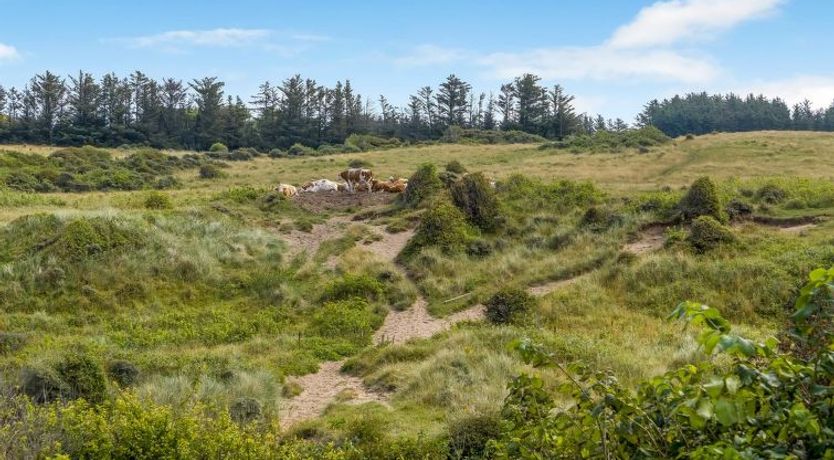 Photo of "Nikolce" - 500m from the sea