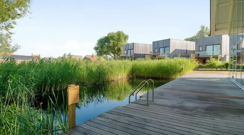 Photo of Light of Now