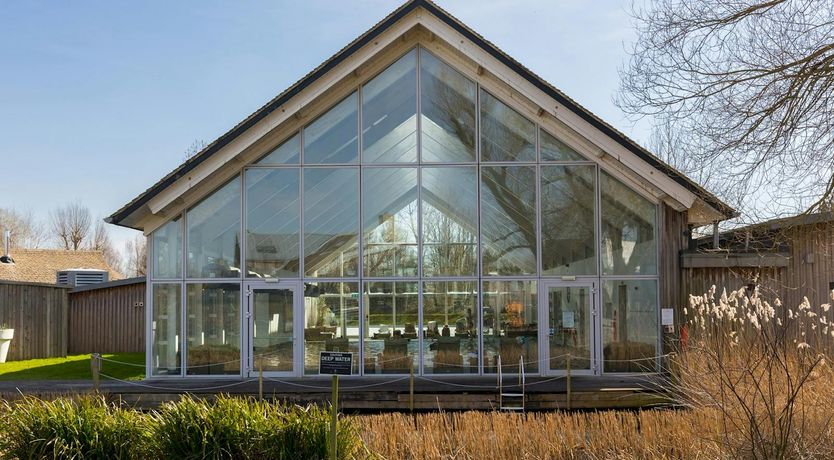 Photo of Light of Now