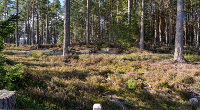 Photo of Hazel Bothy Apartment 9