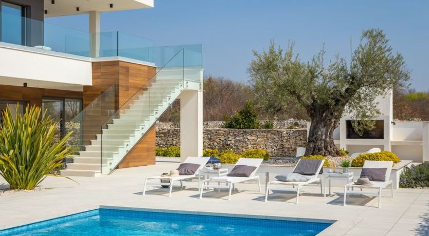 Photo of Old Olive VII