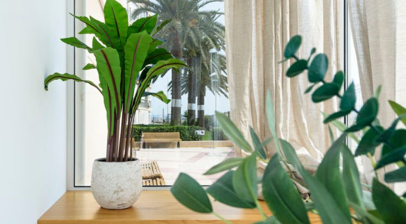 Photo of Paradis Playa Apartment 2