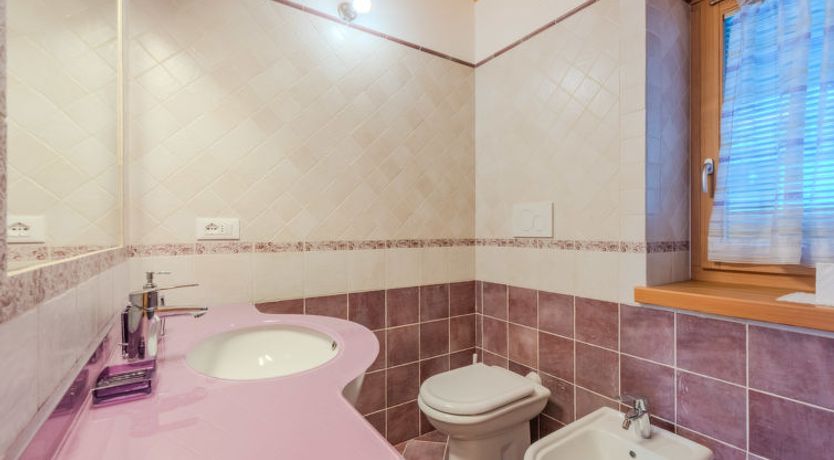 Photo of Picchio Primavera