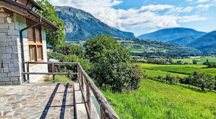 Photo of Picchio Primavera