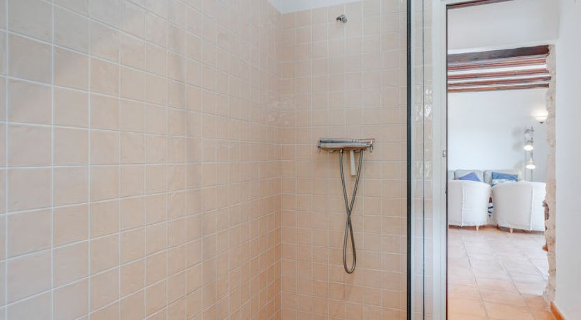 Photo of Flor de la Neu