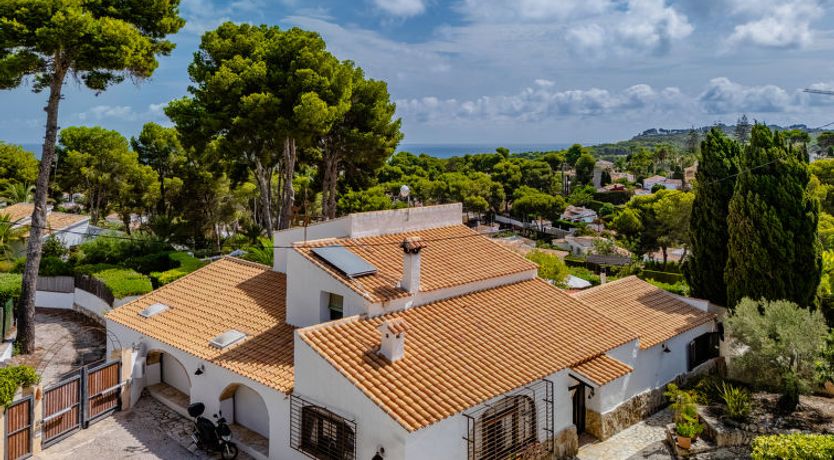 Photo of Flor de la Neu