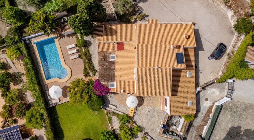 Photo of Flor de la Neu