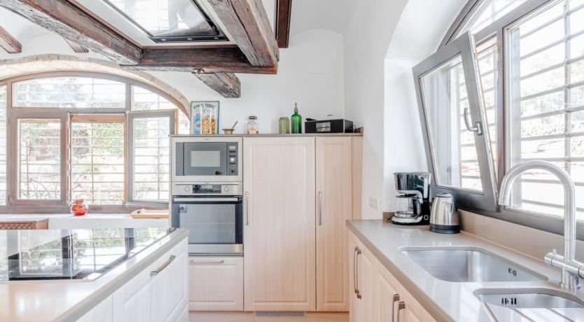 Photo of Flor de la Neu