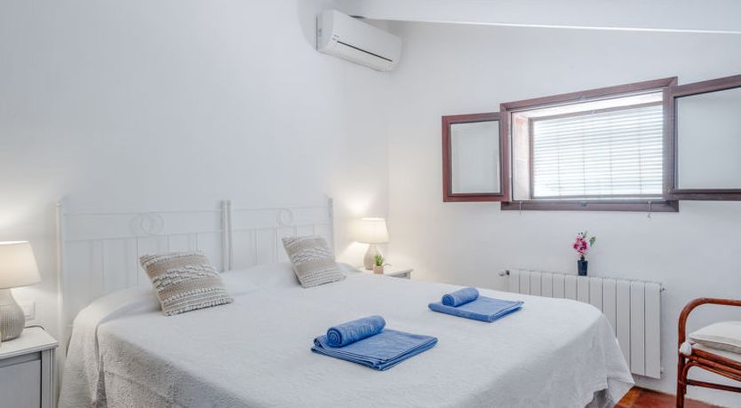 Photo of Flor de la Neu