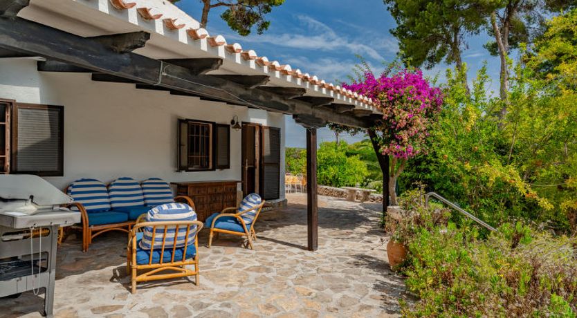 Photo of Flor de la Neu