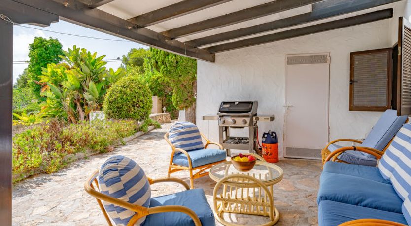 Photo of Flor de la Neu