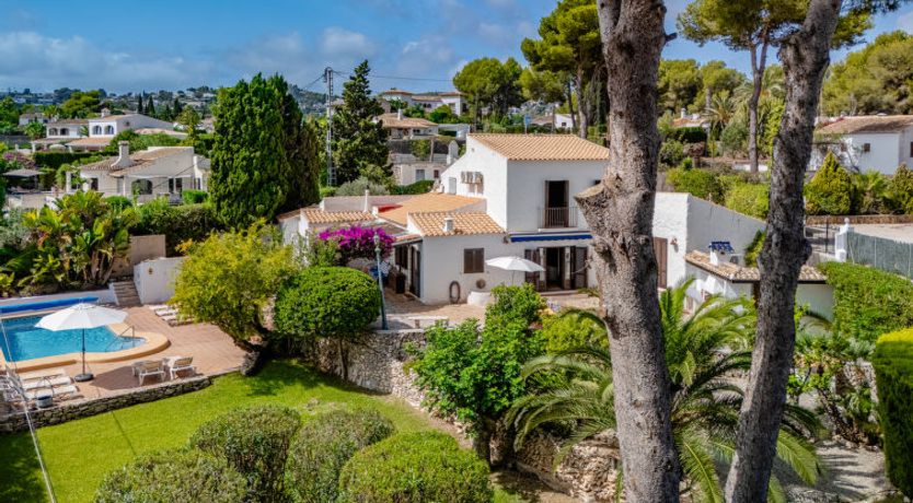 Photo of Flor de la Neu