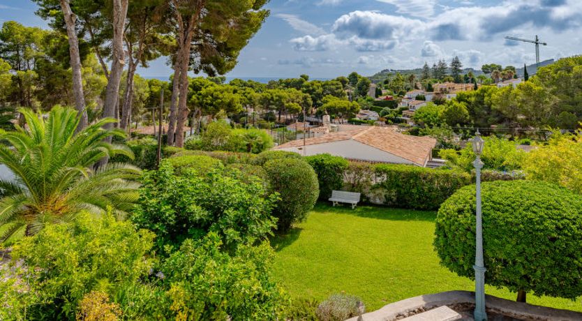 Photo of Flor de la Neu