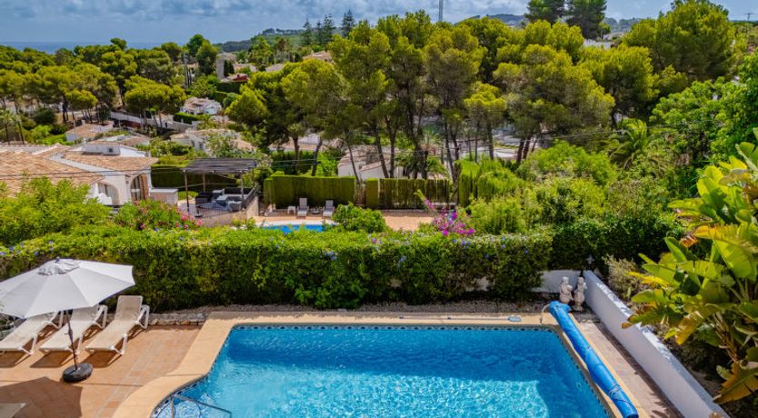 Photo of Flor de la Neu