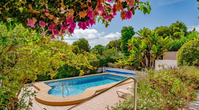 Photo of Flor de la Neu