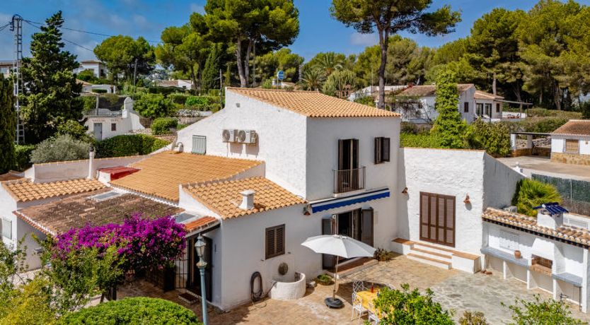 Photo of Flor de la Neu