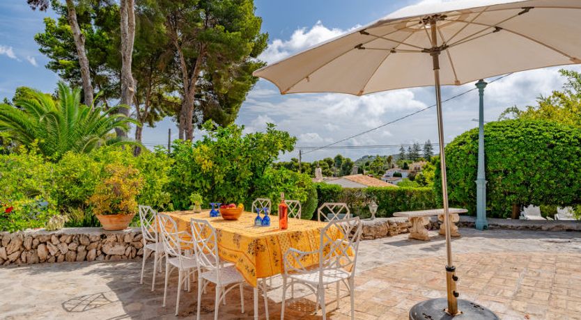 Photo of Flor de la Neu