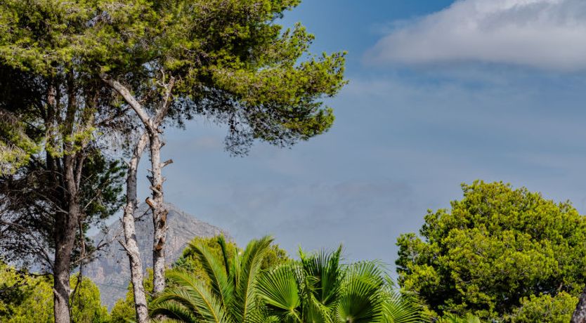 Photo of Flor de la Neu