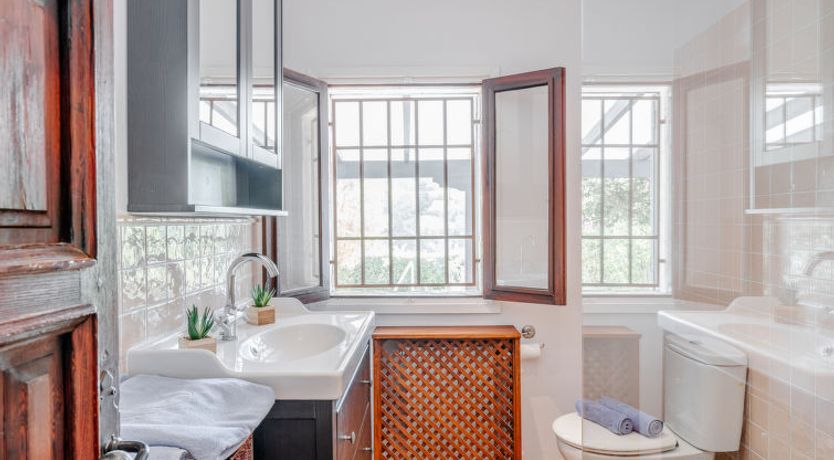 Photo of Flor de la Neu